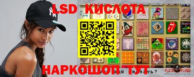 дмт Донской