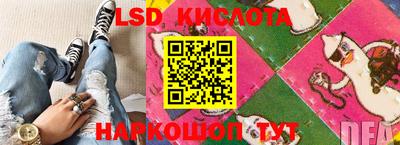 дмт Донской