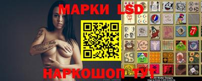 дмт Донской