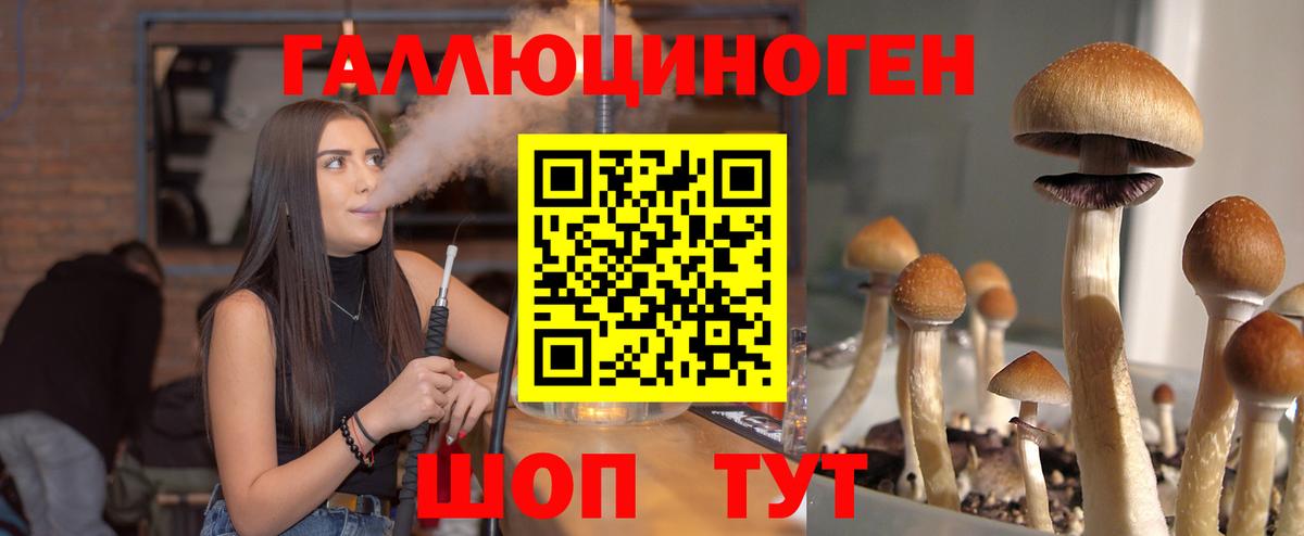 Галлюциногенные грибы Psilocybe Нижнекамск
